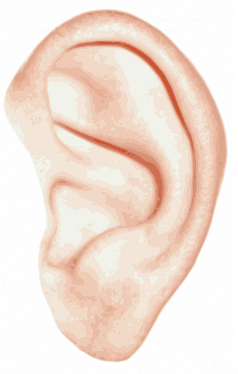 Cochlear implants – when and how to refer